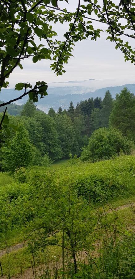 Domek Na Folwarku Z Jacuzzi Tarnawa Dolna  Exterior foto
